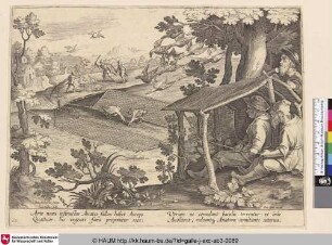 [Gansejagd mit Netzfalle; Goose hunt]