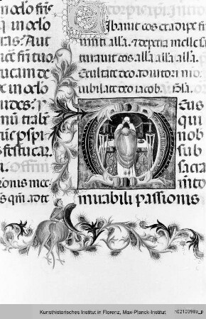 Missale Romanum : Textseite mit historisierter Initiale D: Erhebung der Hostie