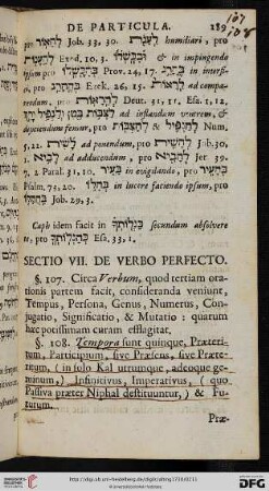 Sectio VII: De Verbo Perfecto