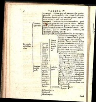 Tabula IV.