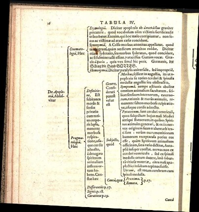 Tabula IV.