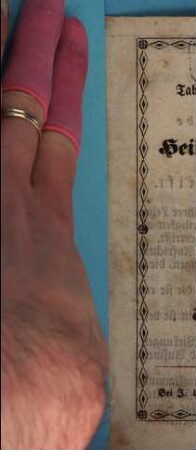 Tabellarische Eintheilung der Heiligen Schrift