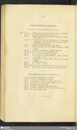 Explanation of figures