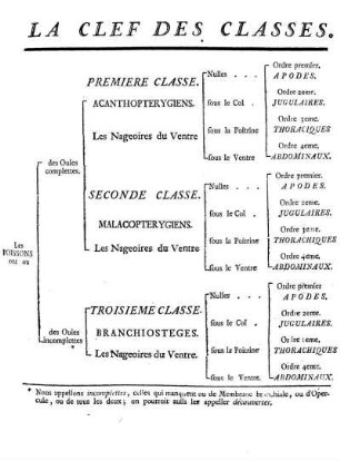 La Clef des Classes
