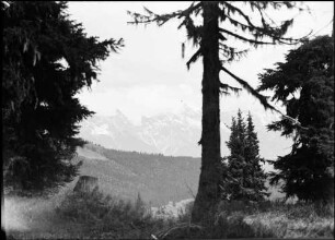 Schmittenhöhe: ausgebaute Bergstraße, Tauernkette, Vordergrund Wald
