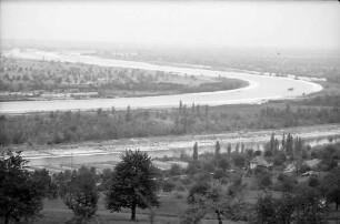 Rheinweiler: Rhein und Rheinseitenkanal