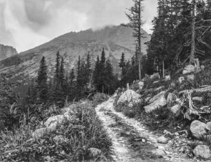 Im Gebirge : Ein felsiger Bergpfad mit Blick auf einen Wald und hohes Gebirge im Hintergrund