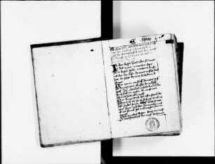 Granum sinapis