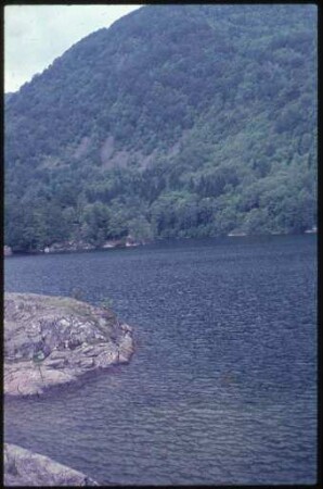 Stausee Lac d' Alfeld in den Vogesen