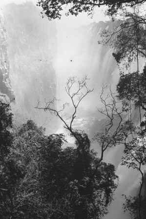 Wasserfall : Blick auf den 1708 m breiten und 99 m hohen Victoriafall.