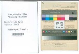 Entnazifizierung Theodor Wallmeyer , geb. 06.12.1899 (Lehrer)