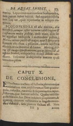 Caput X. De Conclusione.