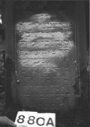Grabstein 880 (Index: 99899331) Material: Sandstein Zustand: angewittert, Stele vom Sockel gestürzt, Mittelteil (mit Inschrift) steht davor, Oberteil wurde auf den Sockel gesetzt Maße HxBxT: 155x49x22 cm Beschreibung: aufgesockelte Stele mit Giebelabschluss, Schriftfeld oben mit maßwerkähnlichem Spitzbogenfries, Stele vom Sockel gestürzt, Oberteil auf Sockel gesetzt, Mittelteil steht davor Symbolik: Spitzbogenfries: Grabstein 880A