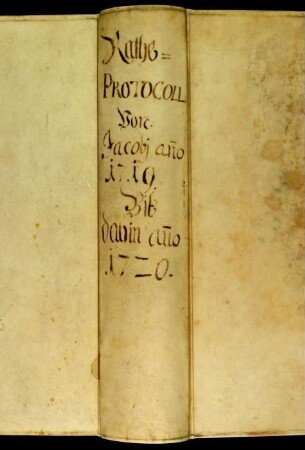Ratsprotokolle, 1719 Juli 30. - 1720 Juli 27.