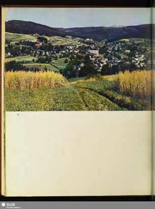 33 Markneukirchen