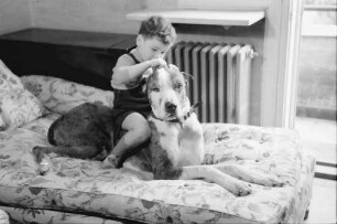 Bukarest: Haus des + Schriftleiters Wilhelm Müller, Junge mit Hund