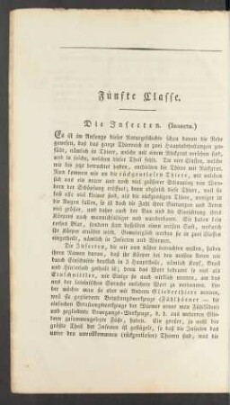Fünfte Classe. Die Insecten. (Insecta.)