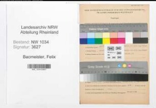 Entnazifizierung Felix Bacmeister , geb. 00.00.0000 (Oberstleutnant)