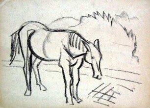 unbenannt, Studie