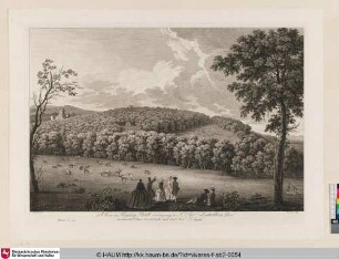 View in Hagley Park