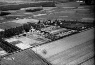 Colochau (Kr. Schweidnitz), Gärtnerei