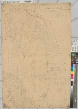 Mairie de Birgel, Section Q dite Roelsdorf - Matzenborn 1:2500. Gemeinde Birgel, Gemeinde Gürzenich, Gemeinde Rölsdorf (alte Urkarte)