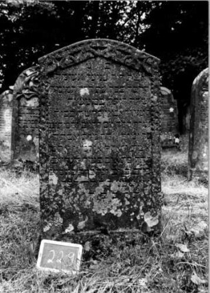 Grabstein 229 [Nir S. 140 Nr. 14.07]