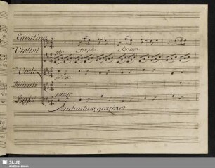 Cavatina: Non alto non basso non bruno non bianco