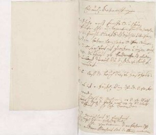 "Erbauliche Betrachtungen" theologischen Inhalts von Karoline Luises Hand.