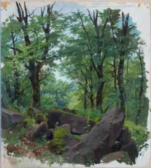 Waldinneres