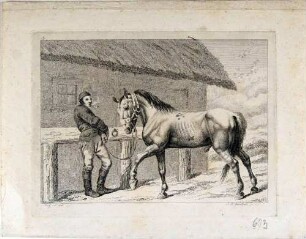 Stallknecht mit Hengst