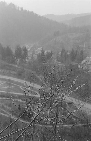 Blick in ein Tal. Im Vordergrund ein knospendes Bäumchen, im Hintergrund eine bergige Waldlandschaft und ein Dorf