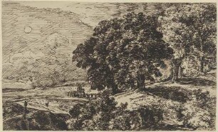 Baumreiche Landschaft