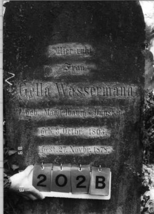 Grabstein 202 (Index: 100093635) Maße HxBxT: 198x58x25 cm Symbolik: Kranz: Grabstein 202B
