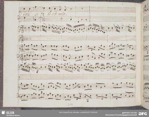 Aria: Scherzo in mezzo all'erba verde