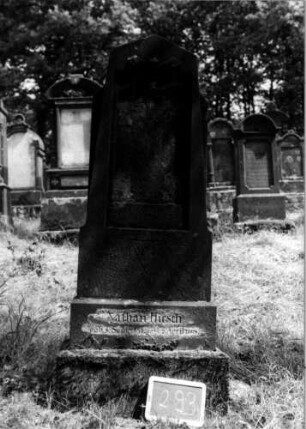 Grabstein 293 [Nir S. 193 Nr. 17.18]