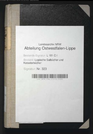 Salbuch der Stadt Lemgo von 1861, Bd. 1