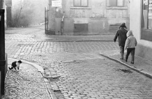 Straßenszene mit zwei Kindern und einer Katze
