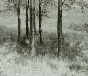 Gebergrundlandschaft