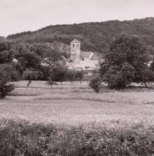 Creuzburg. Ortsansicht mit Stadtkirche St. Nikolai. Blick aus der Werraaue von Südost