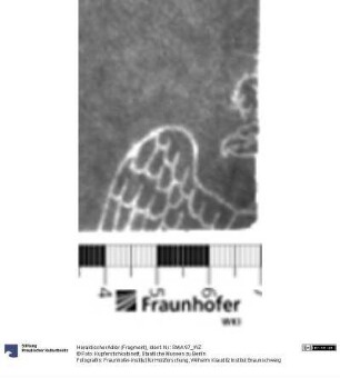 Heraldischer Adler (Fragment)