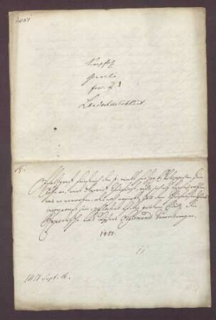 Pfalzgraf Friedrich I. stellt eine Urkunde über die Arrogation seines Neffen, des Pfalzgrafen Philipp, aus.