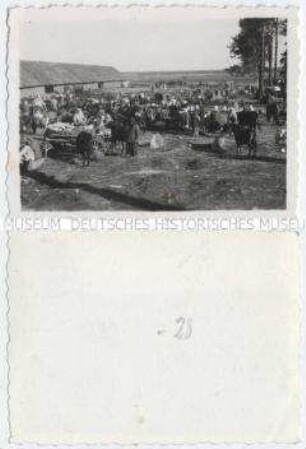 Bauernmarkt