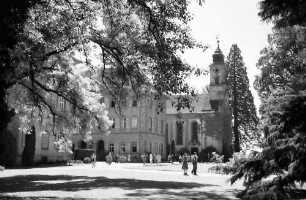 Mainau, Insel Mainau: Schloss