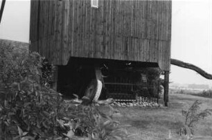 Liebschützberg-Clanzschwitz. Bockmühle, Bock