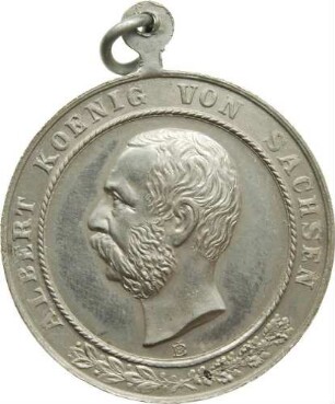 König Albert - Regierungsantritt