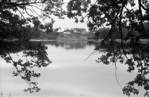 Mimmenhausen: Killenweiher durch Äste, bei Mimmenhausen