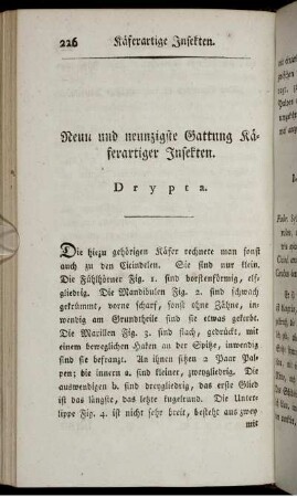 Neun und neunzigste Gattung Käferartiger Insekten. Drypta.