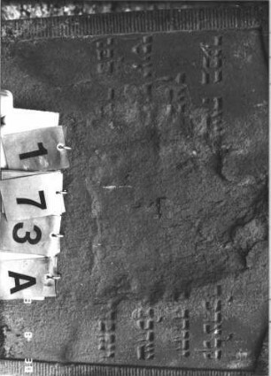 Grabstein 173 (Index: 99609809) Material: Sandstein Zustand: stark verwittert, weitgehender Textverlust Maße HxBxT: 101x67x9 cm Beschreibung: Stele, Konvexbogenabschluß, Schriftfeld eingetieft: Grabstein 173A
