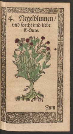 4. Negelblumen/ und forcht und liebe Gottes.